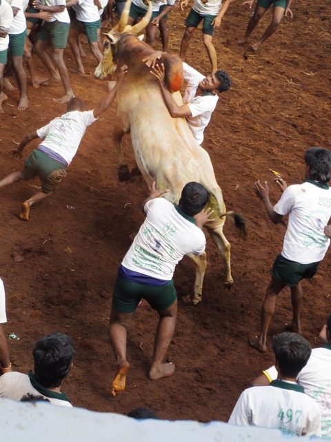 IMGP2101