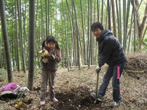 120422小机1
