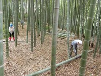 小机 年末用