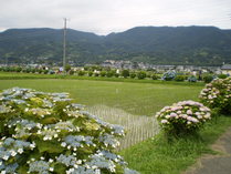 090607����Į���������פ�