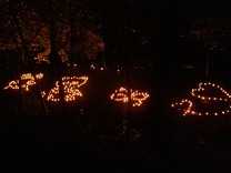 20250518_193238039_R