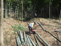 100320��Ȳ�����ƺ�