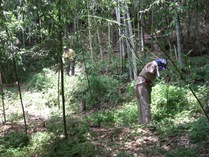 080705����ס���ޥ���������