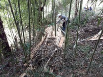 積上げ枯葉サンドイッチ状況