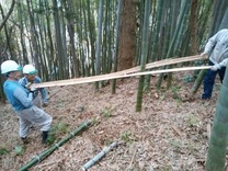 竹稈利用で竹を裂く
