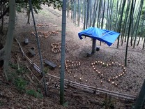 20250518_165543469_R