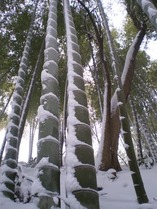 140208������