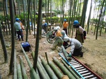 縮小 竹灯籠製作