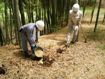 090620������ �Ƥ̤�