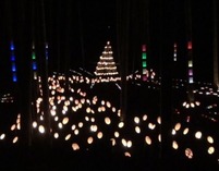 �̾� �ȥ��֥���