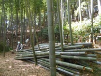 170910�������Ѵ�Ȳ (1)