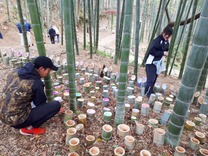 �̣ţ�������