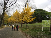 081115��150���ɤ�ι񥤥��祦