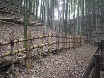 081116�ܴݲ����ݳ�