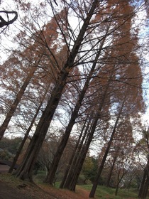 081206���ɤ�ι�᥿��������