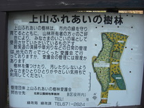 081221�廳�դ줢���μ��Ӱ����