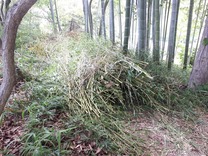 180704�ޥ����ټ��ݽ��� (1)