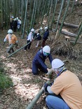 211113折本 親子で学ぶ竹林 (2)