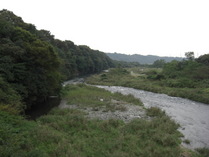 081010�����綶���鲼ή