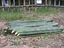 080605�ס����ݿ夿�äפ������