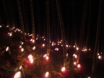 幻想の竹林
