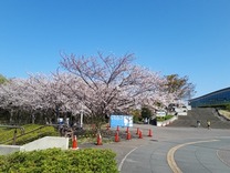 20190406_081204