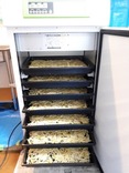 乾燥機7段に千切り味付
