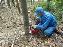 120218���ɤ�ι������϶�Ѻ�� (2)