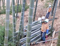 �̾� 180311��ݴ�Ȳ