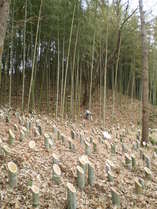 100328���������֤ȥ��å�������