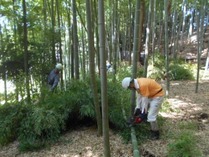 170910�������Ѵ�Ȳ (3)