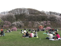 080329���ɤ�ι�������캸