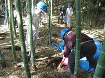 111204���Ӵ����������ߤλ���