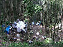 080615���٥�Ȳ��ű��