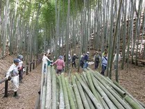 121013���������� (2)