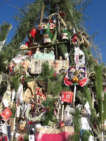 090111�䤰��� ������