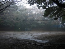 081116本丸広場
