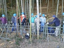 130216竹林管理コース 四ツ目垣