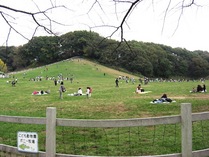 081115��150���ɤ�ι��Ҿ�