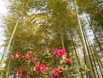 �̾� ���㥯�ʥ�����