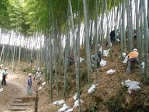 縮小 国際 設置 (2)
