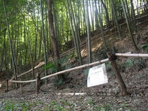竹・下げ看板
