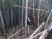 整備作業中