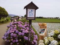 120617��������