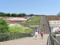 080506����ס���΢�糬��