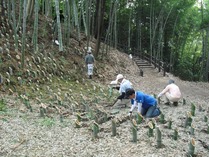 設置 2