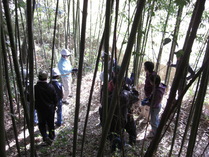 081123������Ǥγؤ�