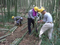 080907安全柵 竹垣