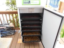 �̾������ʥȥ쥤���ŵ����絡��