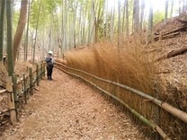 190126������������� (2)